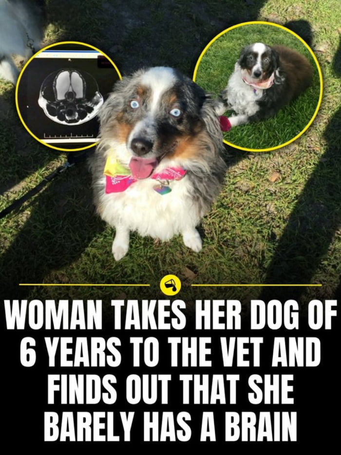 Bless her little heart