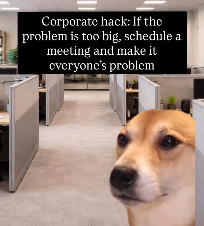 Please join the meeting