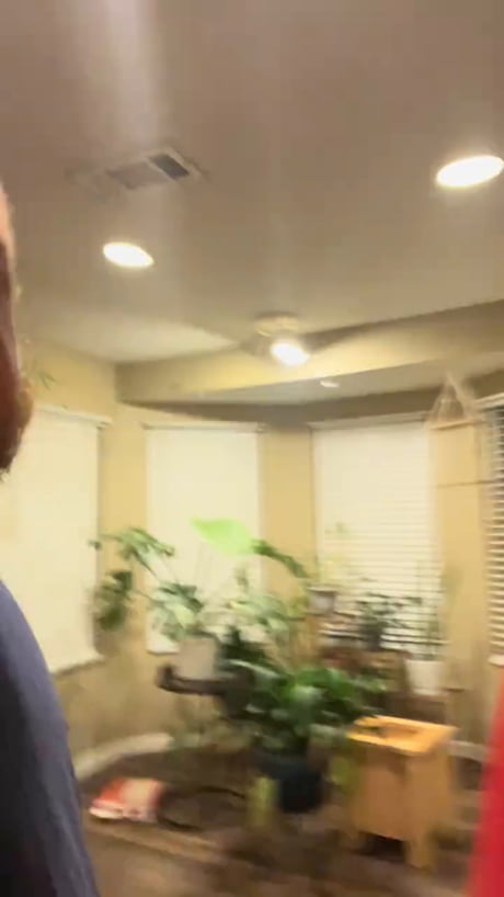 Old joke but cute delivery