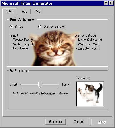 Best Funny kitten Memes - 9GAG