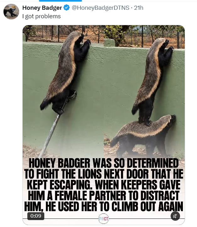 Absolute menace to society