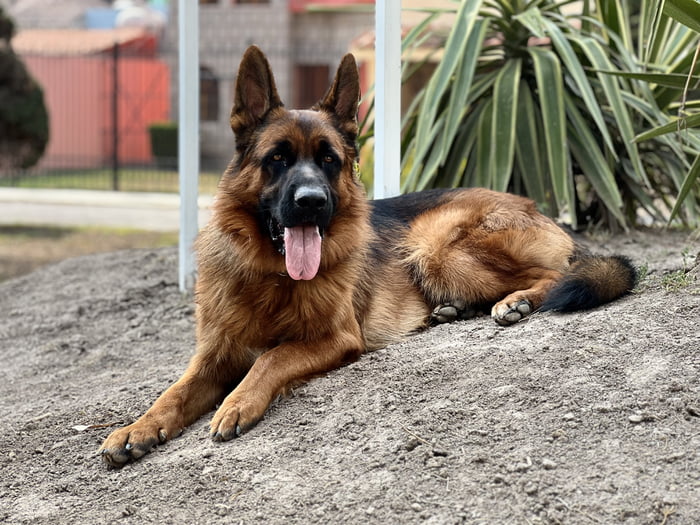 My best friend got hit by a car, he is currently in surgery fighting for his life. Please send good vibes