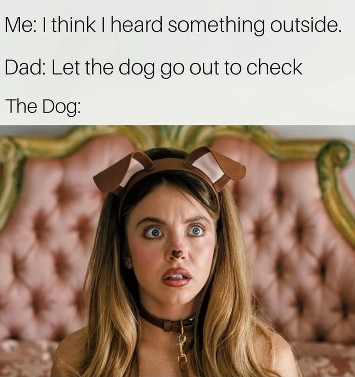 Get them boy!