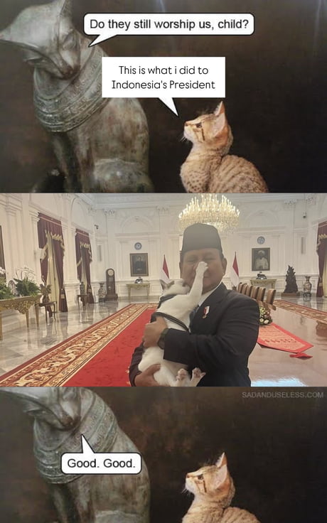 https://img-9gag-fun.9cache.com/photo/a4PRy8p_460s.jpg