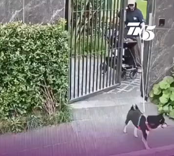Mother of the year