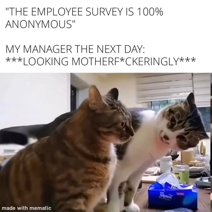 That look you get after the `anonymous` employee survey
