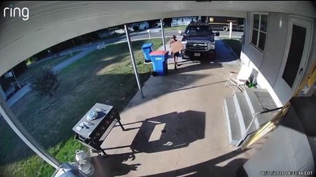 Delivery driver defends himself against dog owner