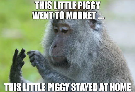 This little piggy nursery rhyme - 9GAG