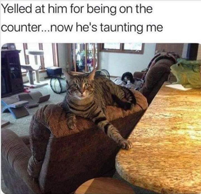 You bugger