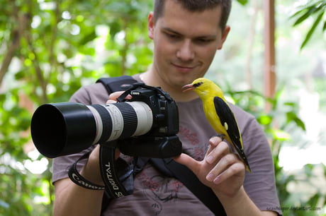 This shot is not good. Could you take another one please!