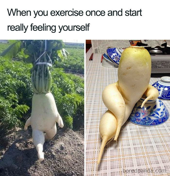 me-a-week-after-starting-gym-9gag