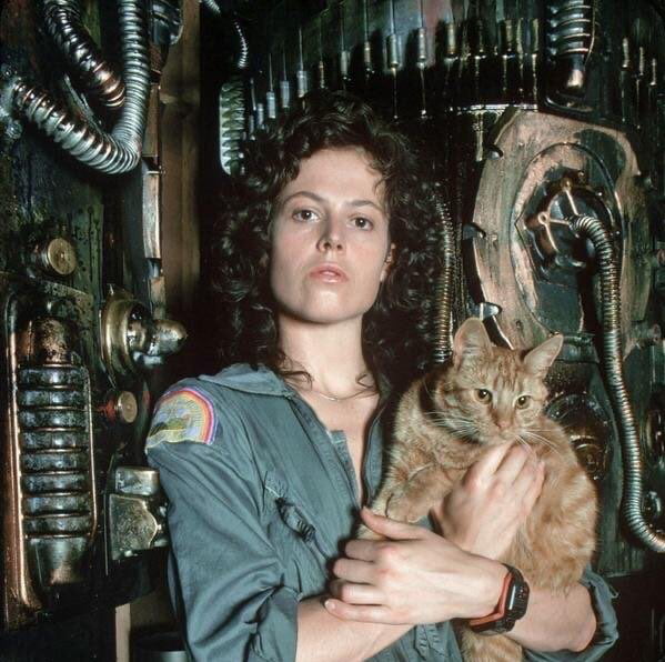 Sigourney Weaver on the set of Alien holding her cat, 1979 - 9GAG