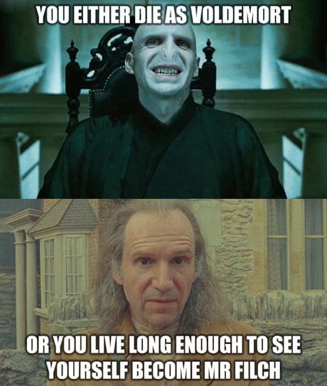 Funny Voldemort Meme