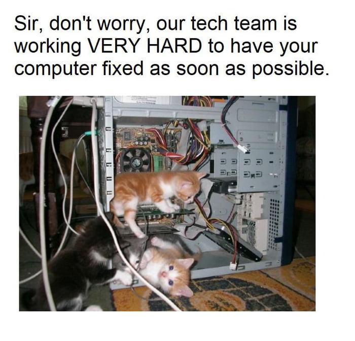 Kitten tech team - 9GAG