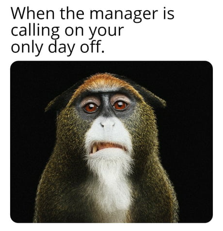 Best Funny manager Memes - 9GAG