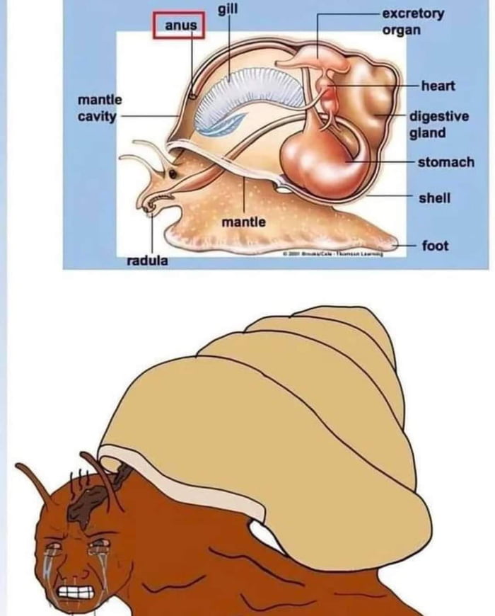 The more you know 9GAG