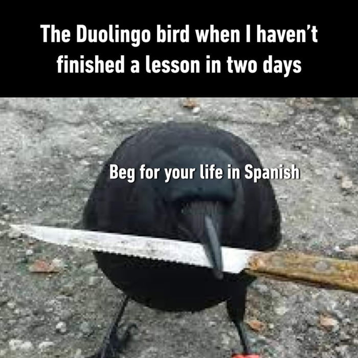 Duolingo memes died? 9GAG