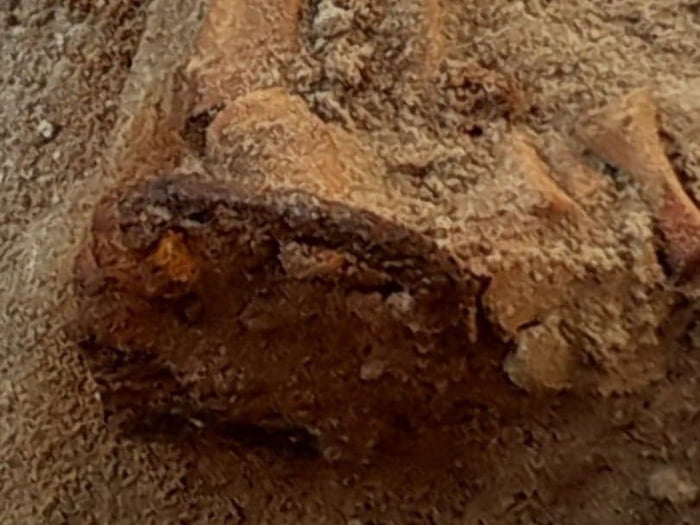 Remains Of 17th-Century 'Vampire' With Sickle On Neck Discovered In