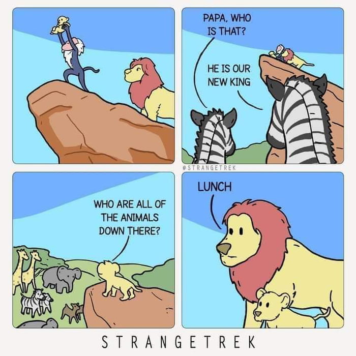 Animal kingdom 9GAG