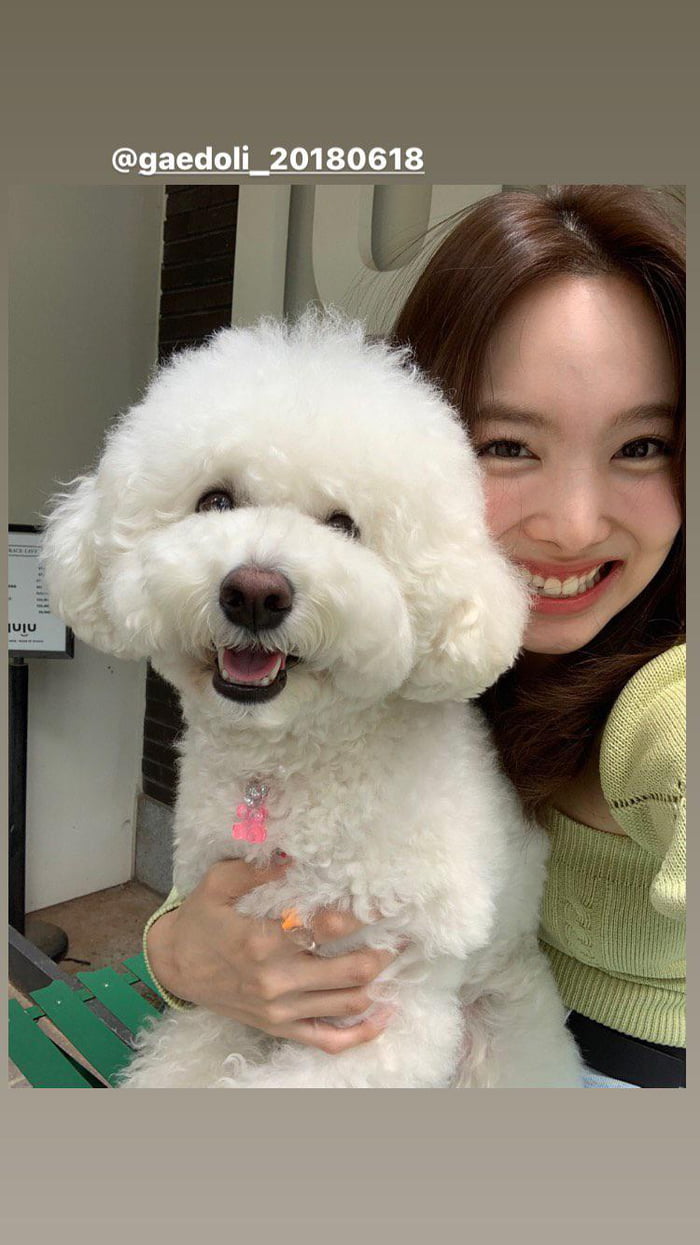 Photo : Twicetagram story update - Nayeon