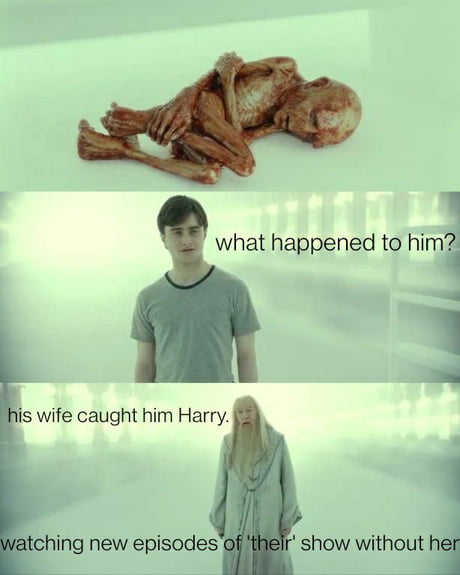 Best 30 Lord Voldemort Fun On 9gag