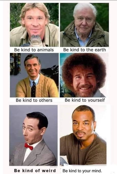 Best 30 Levar Burton Fun On 9gag