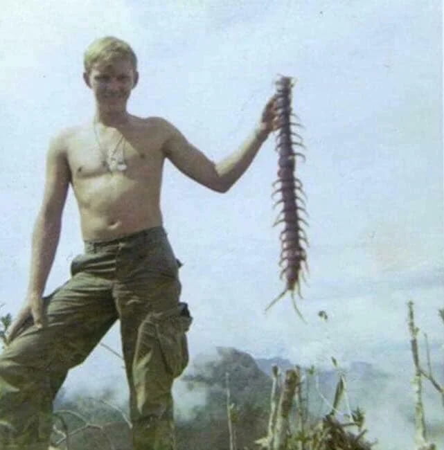 A United States soldier holds up a giant jungle centipede during the Vietnam War, 1967