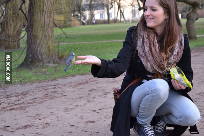 I recently found out that not only squirrels will eat from your hand in Parks!