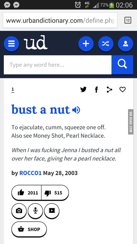 Definition & Meaning of Bust