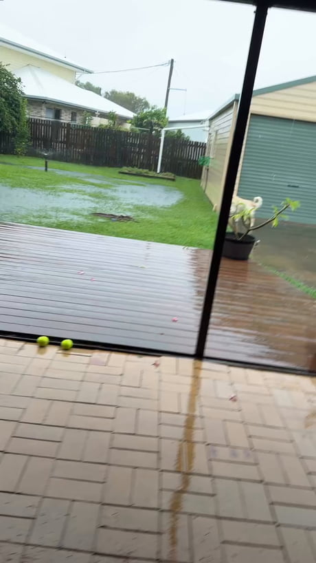 The way he shakes his head “no”