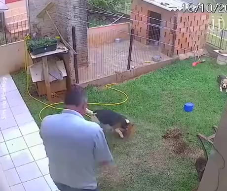 That will teach that mole