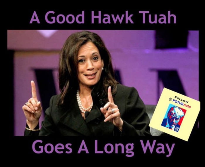 Hawk Tuah Harris will be the democrats’ nominee - 9GAG