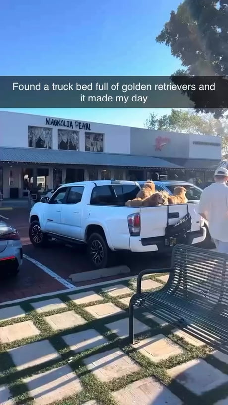 A truck full of pure joy