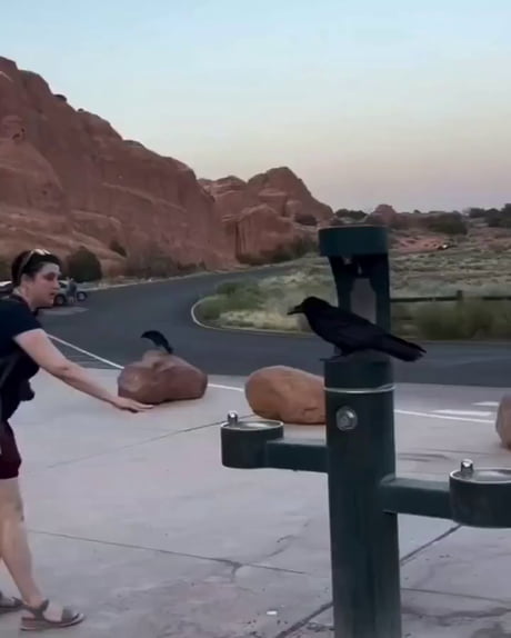 Her family will have loyal crow servants for 7 generations