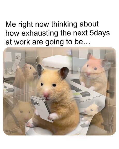 30-relatable-memes-about-monday-blues