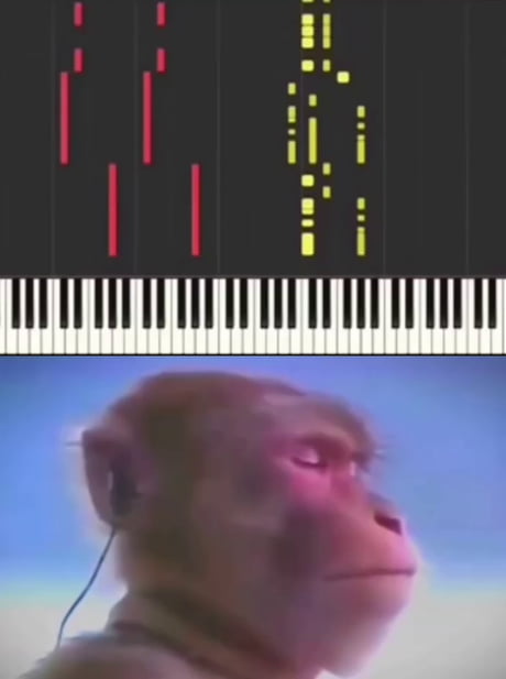 What a beautiful melody... Wait why is my arm raising???