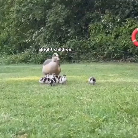 The early bird gets the worm