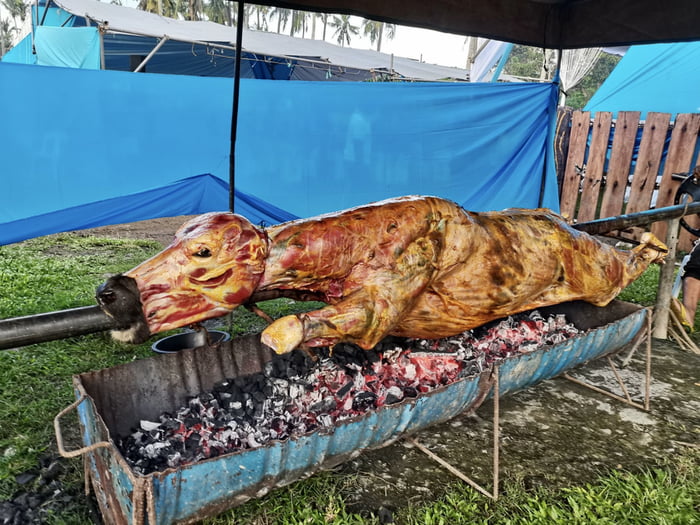 Philippine Lechon Baka, a whole cow roasted over charcoal on a spit - 9GAG