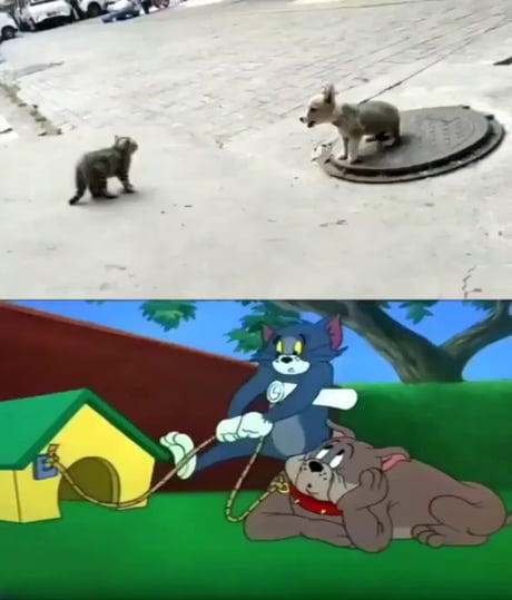 When art comes to life...