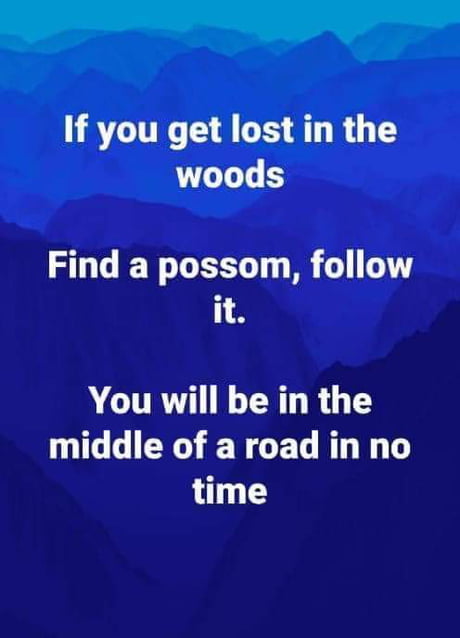 What to do if you are lost in the woods If You Get Lost In The Woods Do This 9gag