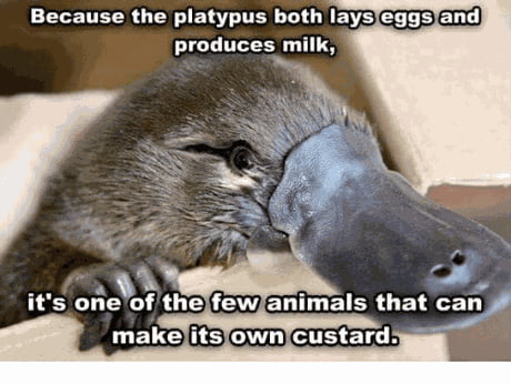 Something to make your day better. Or worse, depending on how you look at it.