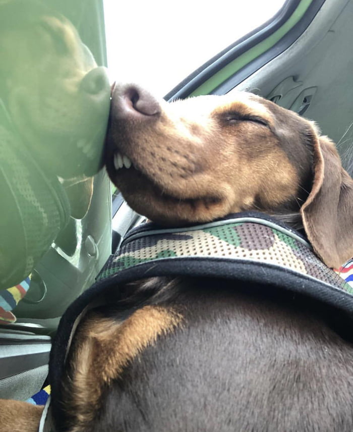 His reflection is the greatest