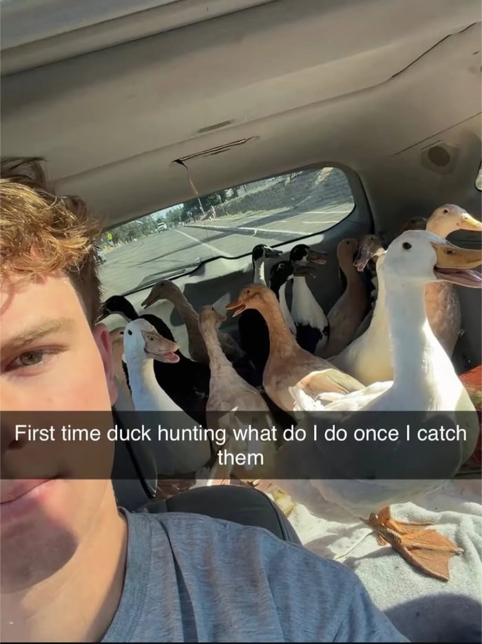 Pls help