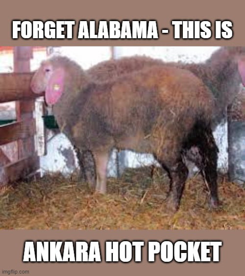 Alabama Hot Pocket 2 0 9GAG alabama-hot-pocket-2-0-9gag