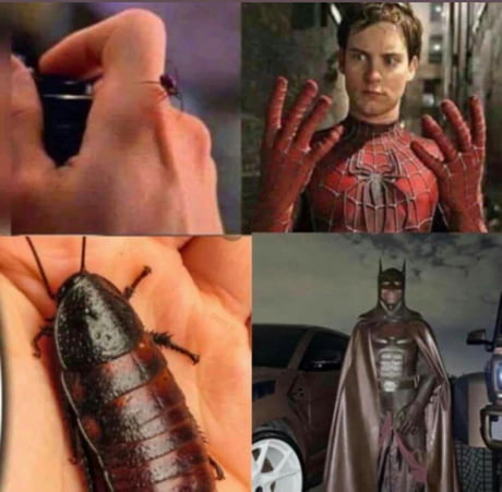 Travis Scott Batman Meme Cockroach - Roachman Begins A Travis Scott