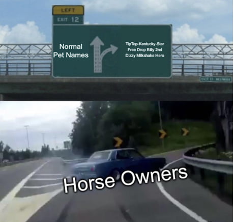 Why Are Horse Names So Weird 9gag