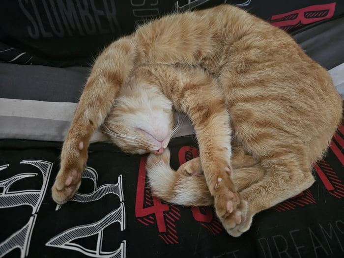 From drain cat to happy cat... 9GAG