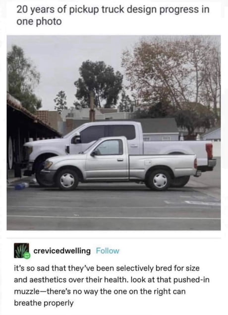 Pick Up Truck Memes