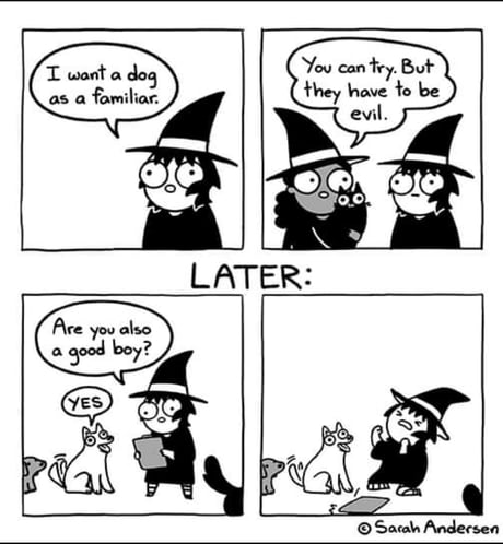 Best Funny sarah andersen Memes - 9GAG