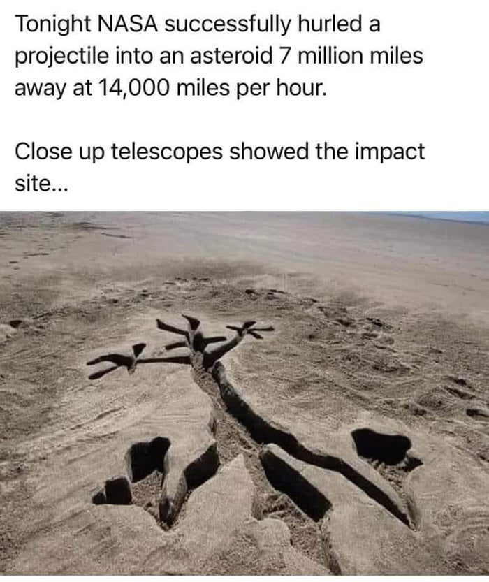 Wily E Coyote and Acme did it again